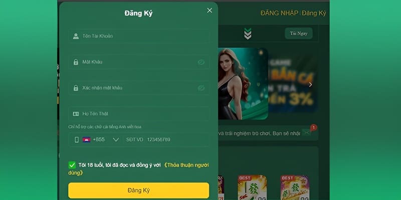 Điền các thông tin vào biểu mẫu đăng ký HB88