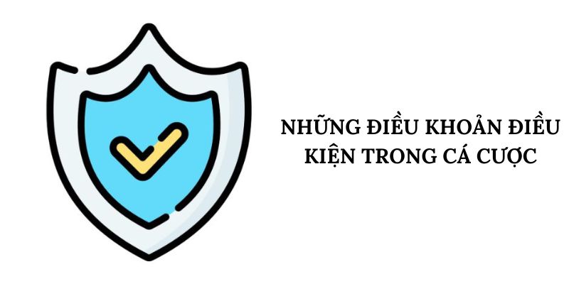 Ý nghĩa điều khoản và điều kiện HB88 là gì?